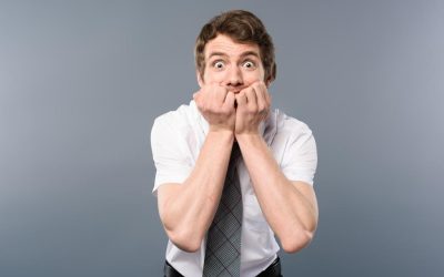 What fears do business owners have when they spend money on SEO?