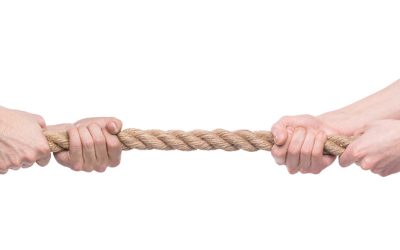 SEO: One Team, Proven Results