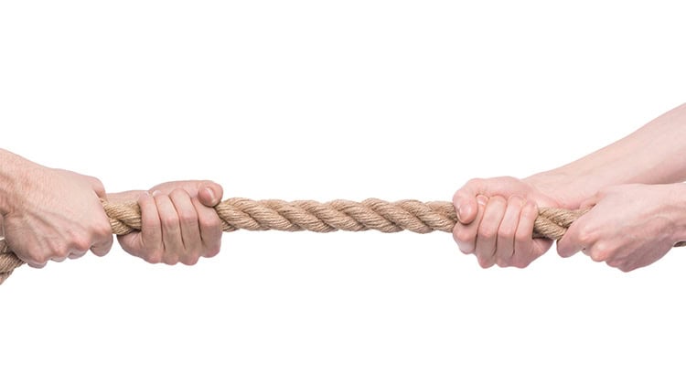 SEO: One Team, Proven Results